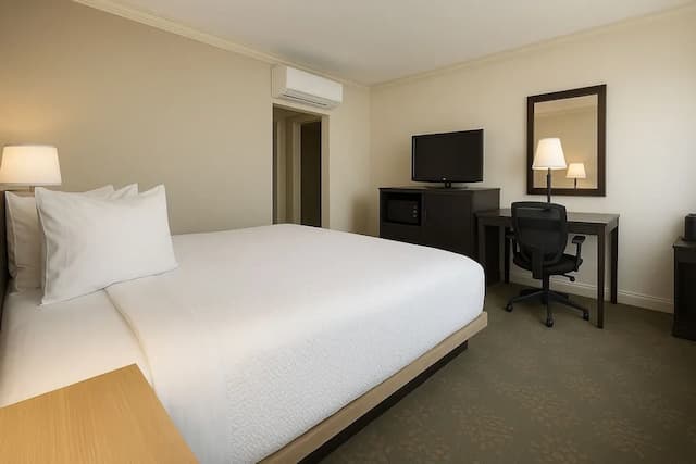 洛杉磯西市中心溫德姆華美達酒店-客房-1