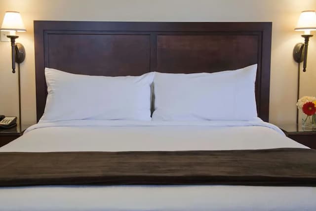 이그저큐티브 호텔 빈티지 코트, 유니언 스퀘어-이그제큐티브 더블룸, 더블침대 2개-2