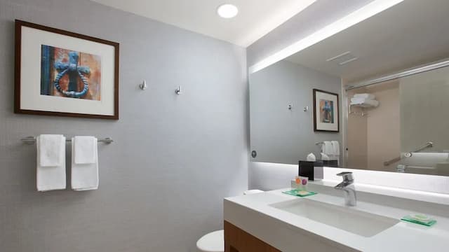 南芝加哥凱悅嘉軒酒店/大學醫療中心-標準客房, 2 張加大雙人床-3