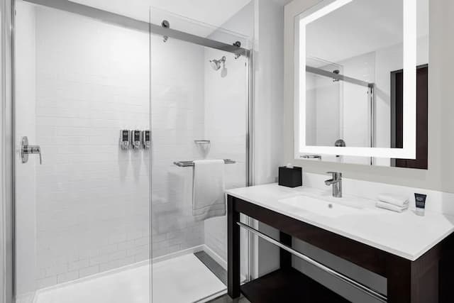 Four Points by Sheraton Flushing-豪華單人房, 1 張特大雙人床-5