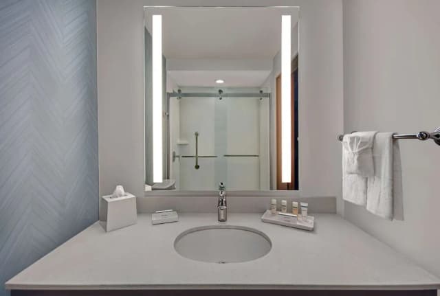 ヒルトン ガーデン イン ヒューストン メディカル センター テキサス-ルーム キングベッド 1 台-8