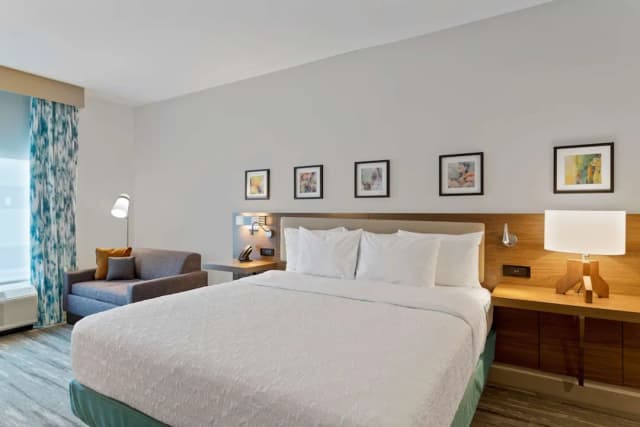 ヒルトン ガーデン イン ヒューストン メディカル センター テキサス-デラックス ルーム キングベッド 1 台-1