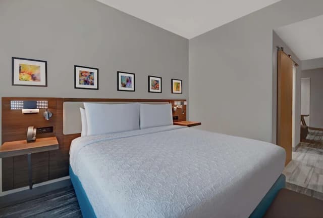 ヒルトン ガーデン イン ヒューストン メディカル センター テキサス-ジュニア スイート キングベッド 1 台-5