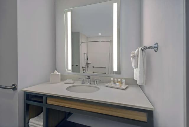 ヒルトン ガーデン イン ヒューストン メディカル センター テキサス-スイート キングベッド 1 台 バリアフリー 浴槽 (Roll-In Shower)-6