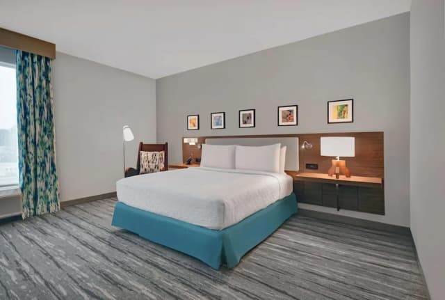 ヒルトン ガーデン イン ヒューストン メディカル センター テキサス-スイート キングベッド 1 台 バリアフリー 浴槽 (Roll-In Shower)-3