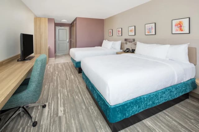 ヒルトン ガーデン イン ヒューストン メディカル センター テキサス-デラックス ルーム クイーンベッド 2 台 禁煙-2