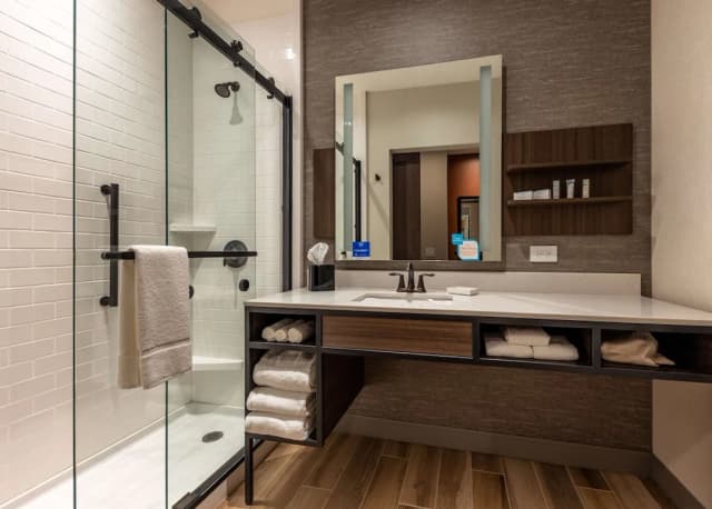 Hilton Garden Inn Chicago Central Loop-华丽客房, 1 张特大床, 城市景观-6