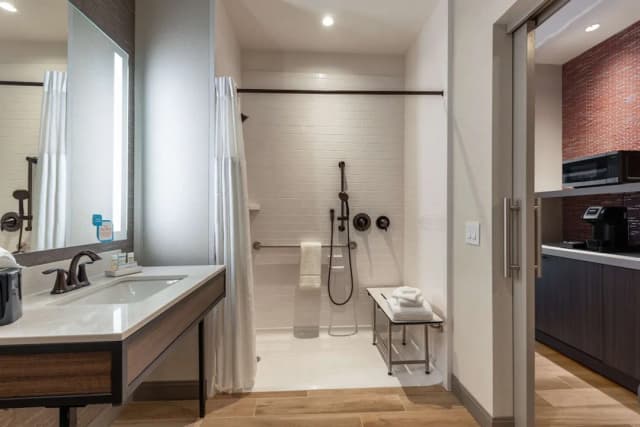 Hilton Garden Inn Chicago Central Loop-华丽客房, 1 张特大床, 城市景观 (Roll-In Shower)-6