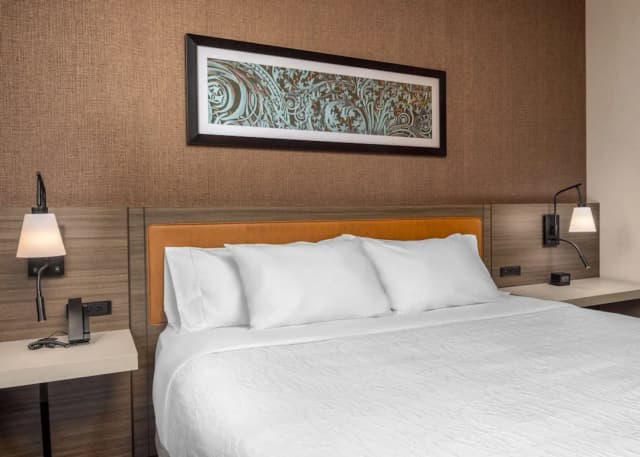 Hilton Garden Inn Chicago Central Loop-华丽客房, 1 张特大床 (Landmark View, Hearing Accesible)-4