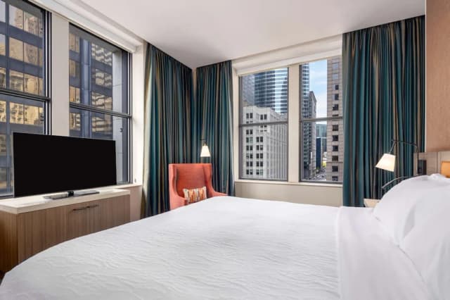 Hilton Garden Inn Chicago Central Loop-华丽客房, 1 张特大床 (Landmark View, Hearing Accesible)-1