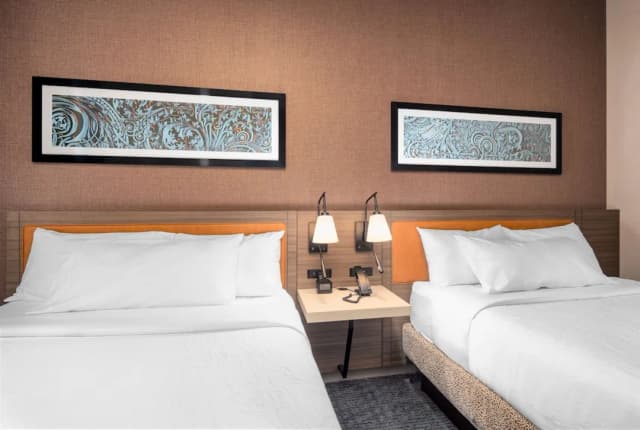 Hilton Garden Inn Chicago Central Loop-客房, 2 张大床, 无障碍 (Hearing)-3