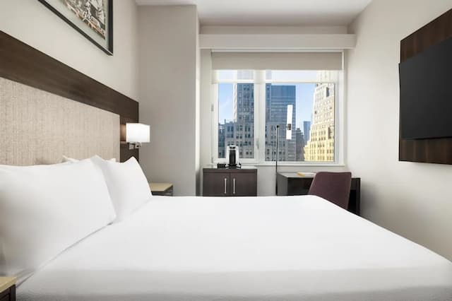 Hilton Garden Inn New York/Times Square Central-客房, 1 张大床-4