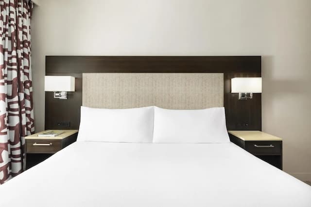 Hilton Garden Inn New York/Times Square Central-客房, 1 张特大床-3