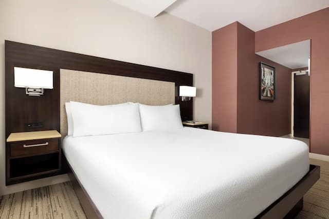 Hilton Garden Inn New York/Times Square Central-客房, 1 张特大床, 无障碍 (Hearing, Times Square View)-8