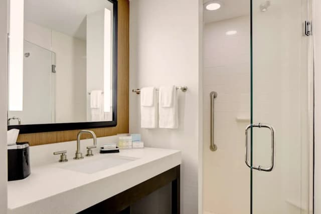 ハンプトン  イン ブルックリン / ダウンタウン-ルーム キングベッド 1 台 バリアフリー 禁煙-6