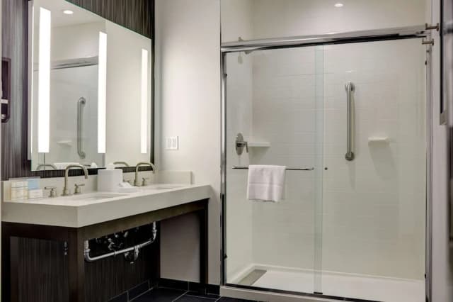 ハンプトン  イン ブルックリン / ダウンタウン-スイート キングベッド 1 台 バリアフリー (Roll-In Shower)-5