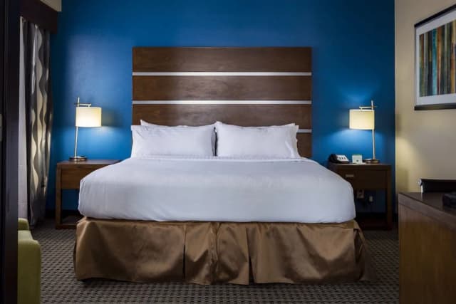 홀리데이 인 휴스턴 다운타운 바이 IHG-스탠다드룸-3