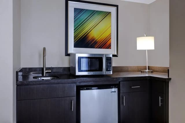 홀리데이 인 휴스턴 다운타운 바이 IHG-스위트, 침실 1개-16