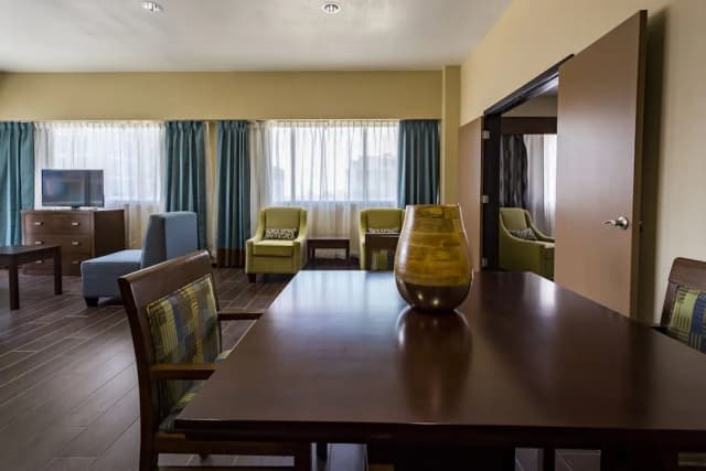 홀리데이 인 휴스턴 다운타운 바이 IHG-스위트, 침실 1개-8