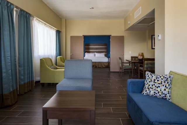 홀리데이 인 휴스턴 다운타운 바이 IHG-스위트, 침실 1개-7