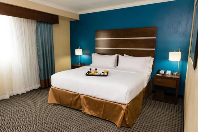 홀리데이 인 휴스턴 다운타운 바이 IHG-스탠다드룸, 킹사이즈침대 1개, 장애인 지원 (Comm, Access Tub)-3