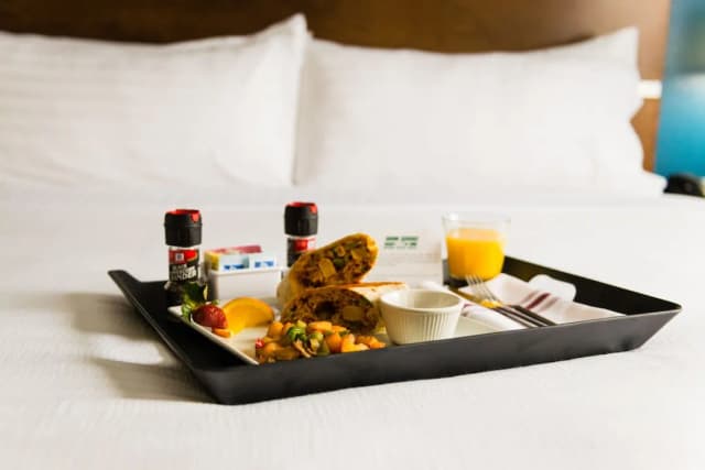 홀리데이 인 휴스턴 다운타운 바이 IHG-스탠다드룸, 킹사이즈침대 1개, 장애인 지원 (Comm, Access Tub)-4