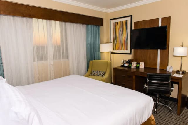홀리데이 인 휴스턴 다운타운 바이 IHG-스탠다드룸, 더블침대 2개-4