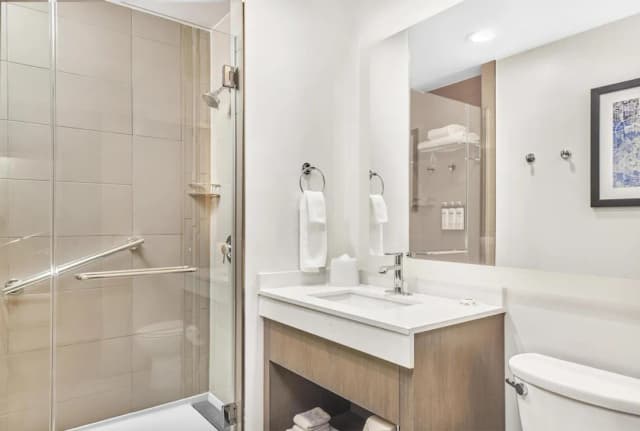 ハイアット  ハウス ヒューストン メディカル センター-パノラミック スイート キングベッド 1 台 (1 Bedroom)-4