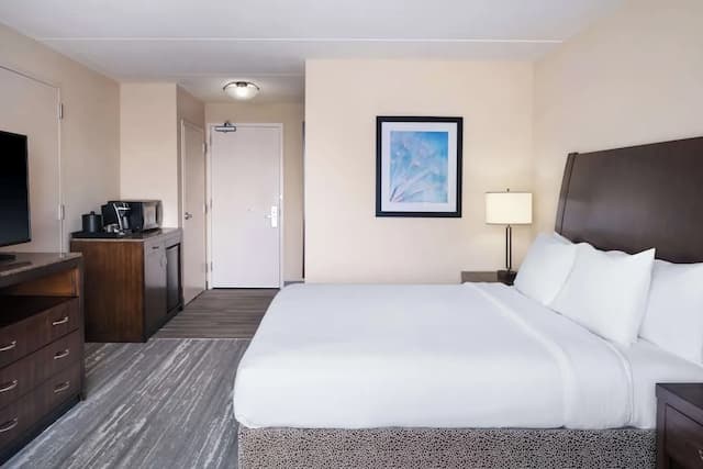 Hilton Garden Inn Houston/Bush Intercontinental Airport-客房, 无障碍-1