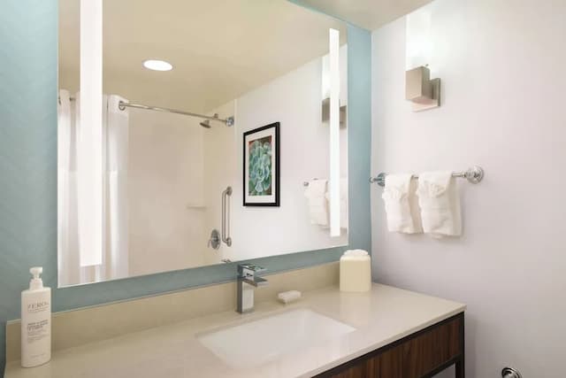 Hilton Garden Inn Houston/Bush Intercontinental Airport-客房, 1 张特大床 (Drinks and Snacks)-5