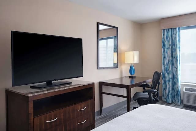 Hilton Garden Inn Houston/Bush Intercontinental Airport-客房, 1 张特大床 (Drinks and Snacks)-4