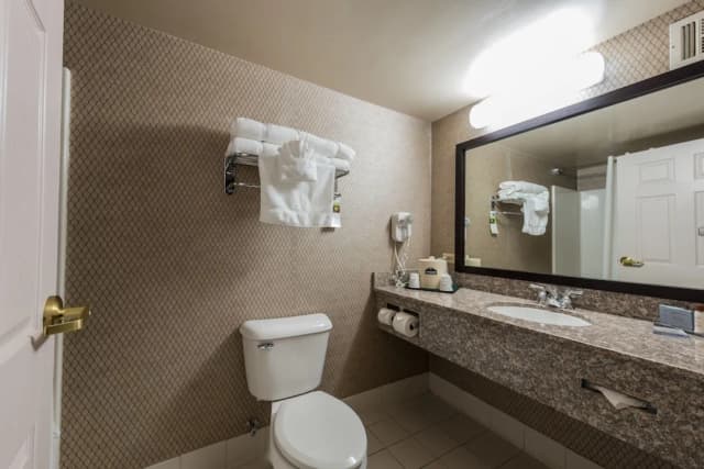 ウィンゲート バイ ウィンダム シカゴ シャウムバーグ-デラックス ルーム クイーンベッド 2 台 禁煙-6