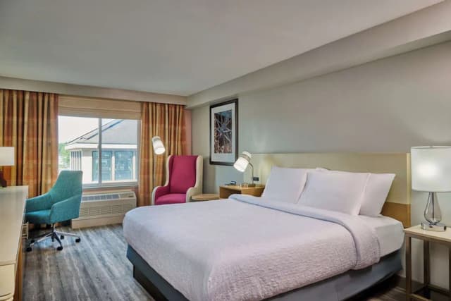 安克雷奇希爾頓花園飯店-標準客房一張特大床山景客房-2