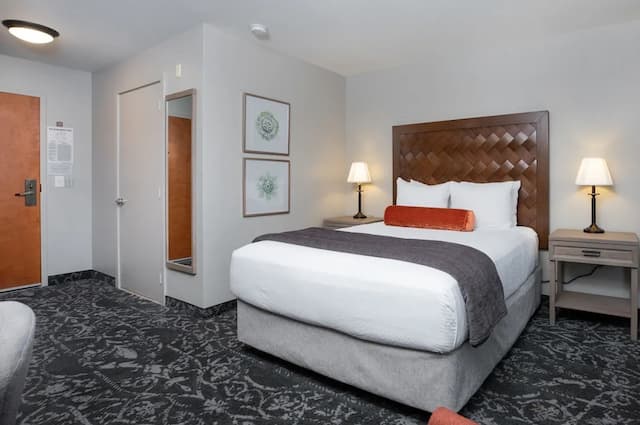 Mediterranean Inn-Queen Guestroom-2