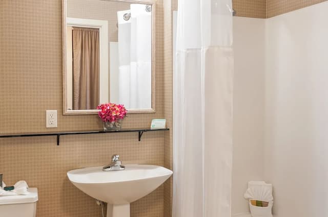 Mediterranean Inn-Room, Run of House-11