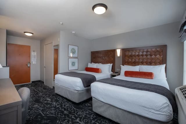 Mediterranean Inn-Room, Run of House-5