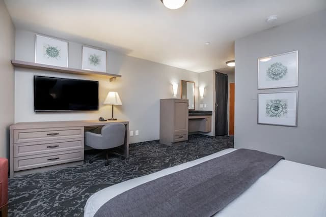 Mediterranean Inn-Room, Run of House-10