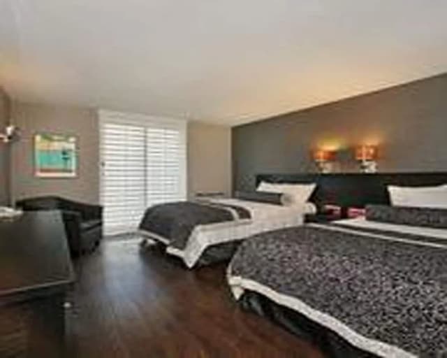 西荷里活溫德姆華美達廣場套房酒店-客房, 2 張標準雙人床, 非吸煙房-5