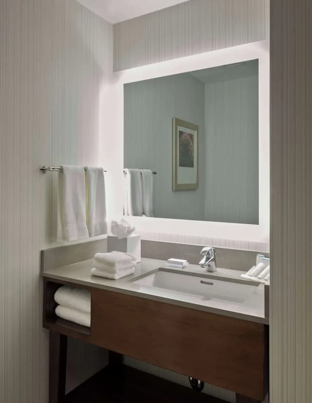 紐約長島市希爾頓花園飯店-客房, 1 張特大雙人床, 無障礙 (Hearing)-3