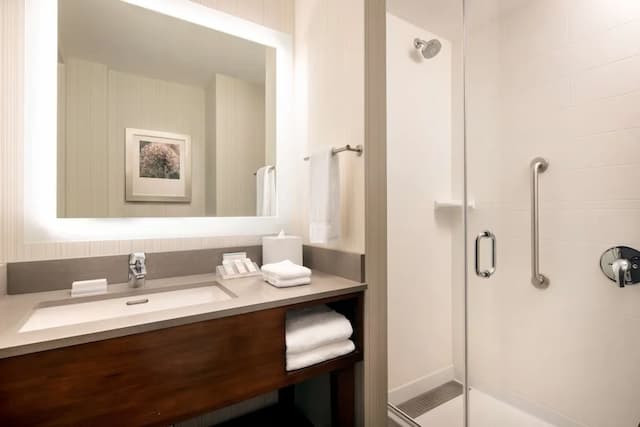 Hilton Garden Inn Long Island City New York-客房, 2 张大床-7