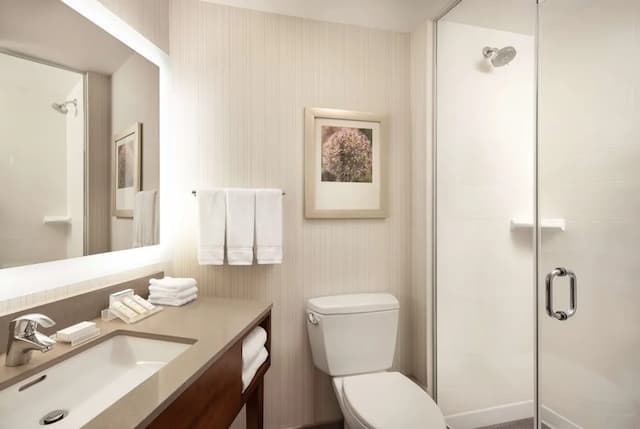 Hilton Garden Inn Long Island City New York-客房, 2 张大床-6