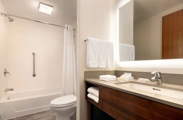 Hilton Garden Inn Long Island City New York-客房, 2 张大床-5
