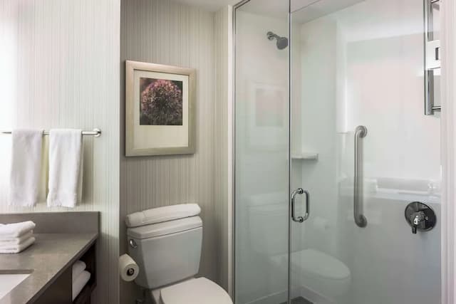Hilton Garden Inn Long Island City New York-客房, 2 张大床-4