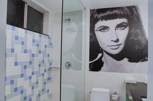 디 애들러 어 헐리우드 힐스 호텔-디럭스 더블룸, 더블침대 2개-18