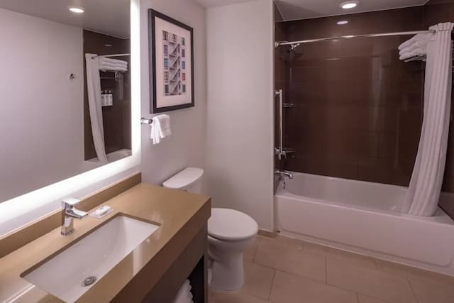 하얏트 하우스 시애틀/다운타운-스튜디오, 침대(여러 개)-8