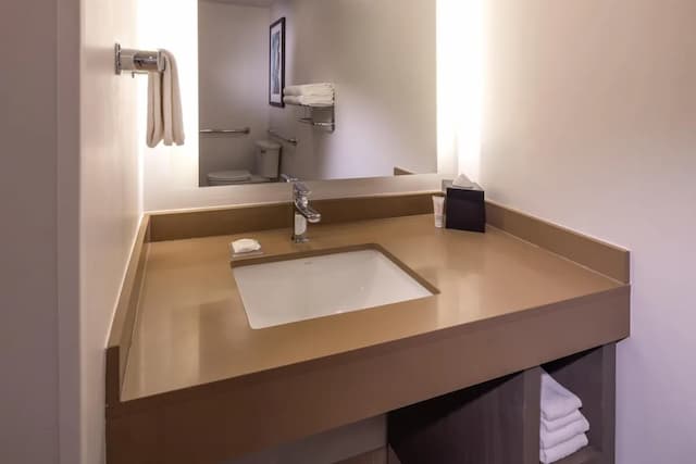 하얏트 하우스 시애틀/다운타운-스위트, 킹사이즈침대 1개 및 소파베드, 장애인 지원 (Shower)-8