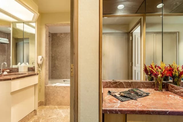 白金漢宮飯店-套房, 1 張特大雙人床和 1 張沙發床-5