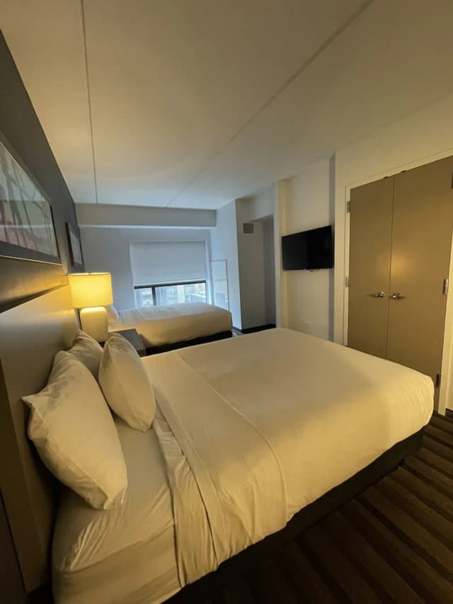 芝加哥埃文斯頓凱悅嘉寓酒店-套房, 多張床-2