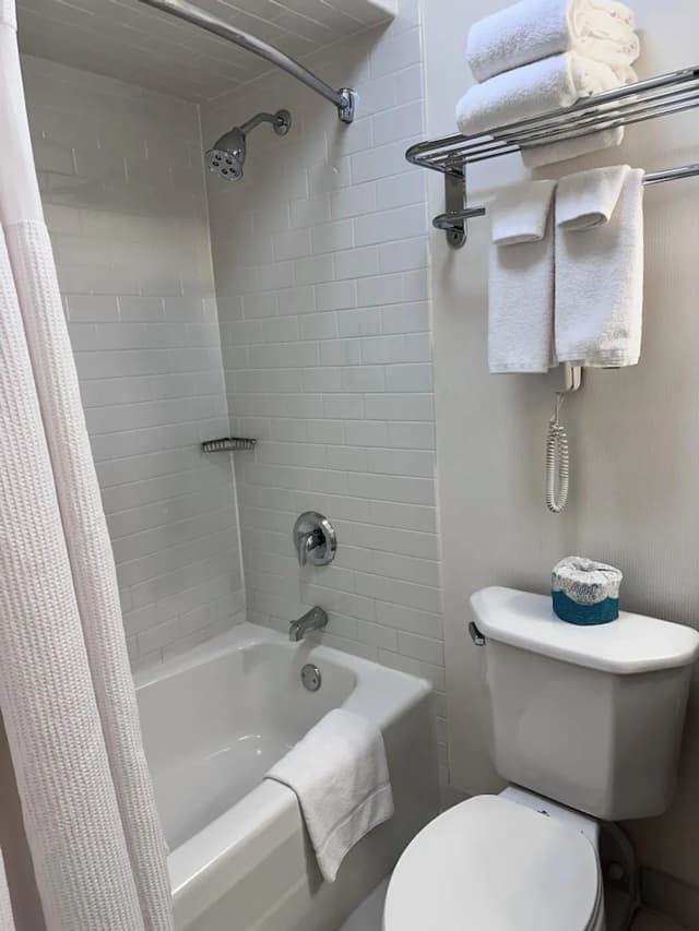 크라운 플라자 시카고 웨스트 루프 바이 IHG-룸, 킹사이즈침대 1개, 코너-4