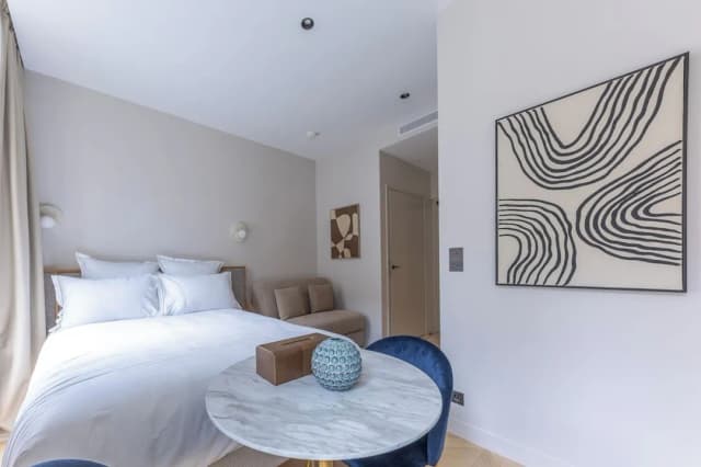 自由區馬雷公寓飯店-特色開放式客房-9